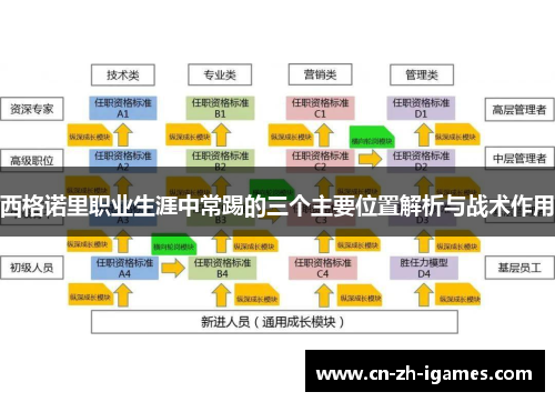 西格诺里职业生涯中常踢的三个主要位置解析与战术作用 西格诺里职业生涯中常踢的三个主要位置解析与战术作用