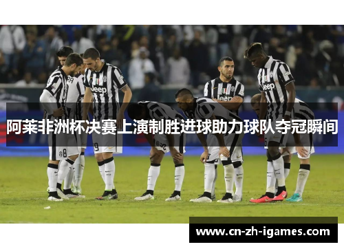 阿莱非洲杯决赛上演制胜进球助力球队夺冠瞬间