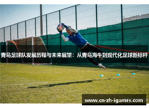 青岛足球队发展历程与未来展望：从青岛海牛到现代化足球新标杆